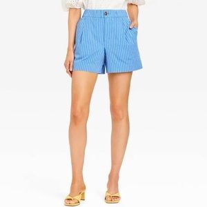 NWT | A New Day by Target | High Rise Stripe Shorts in Blue & White (XS)